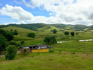 Fazenda/Sítio à venda, 48m² no , Registro