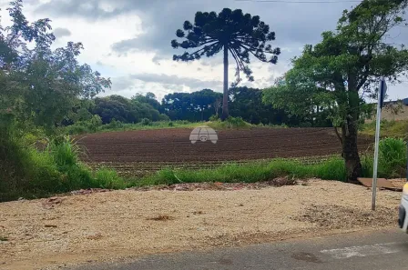 Galpão/Depósito/Armazém à venda, 4200m² no Gabirobal, Colombo