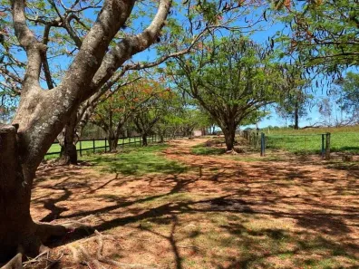 Fazenda/Sítio com 9 Quartos à venda, 650m² no , Boa Esperança do Sul