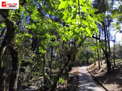 Kitnet com 1 Quarto para alugar, 20m² no Jardim Esmeralda, São Paulo