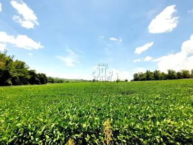 Fazenda/Sítio com 2 Quartos à venda, 96800m² no Conjunto Habitacional Jamile Dequech, Londrina