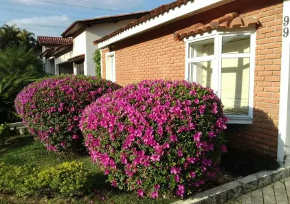 Casa com 4 Quartos à venda, 450m² no Alphaville, Santana de Parnaíba