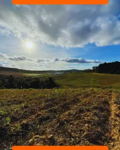 Lote/Terreno à venda, 1000m² no Jardim Haras Bela Vista, Vargem Grande Paulista