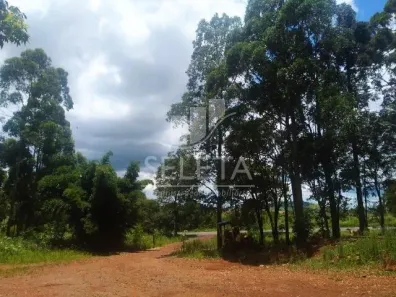 Fazenda/Sítio com 3 Quartos à venda, 380m² no , Guaraniaçu