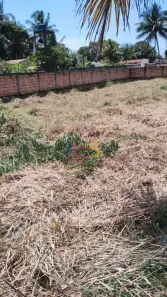 Lote/Terreno à venda, 567m² no Olivença, Ilhéus
