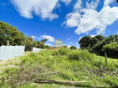 Lote/Terreno à venda, 438m² no Jardim Pancera, Toledo