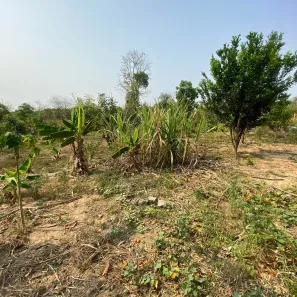 Fazenda/Sítio com 2 Quartos à venda, 1432m² no Nova Esperança, Cuiabá