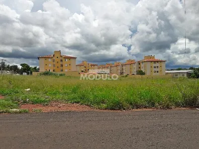 Lote/Terreno para alugar, 6000m² no Chácaras Tubalina e Quartel, Uberlândia
