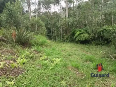 Fazenda/Sítio com 4 Quartos à venda, 169400m² no Area Rural de Paraibuna, Paraibuna