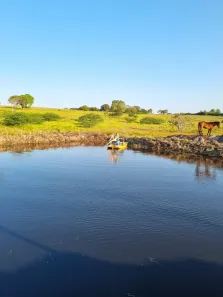 Fazenda/Sítio com 4 Quartos à venda, 24000m² no , Monte Alegre