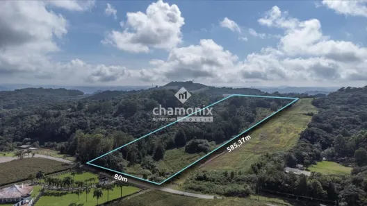 Imóvel Comercial à venda, 46882m² no , Flores da Cunha
