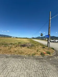 Lote/Terreno à venda, 259m² no Piratininga, Maracanaú
