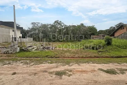 Lote/Terreno à venda, 350m² no Jardim Sao Luis, Peruíbe