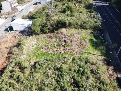Lote/Terreno à venda, 429m² no Ouro Verde, Bento Gonçalves