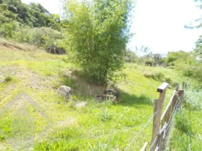 Lote/Terreno à venda, 438m² no Centro, Guaíba