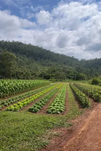 Lote/Terreno à venda, 600m² no Portão, Atibaia