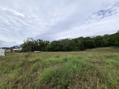 Lote/Terreno para alugar, 5430m² no Nossa Senhora do Rosário, São José