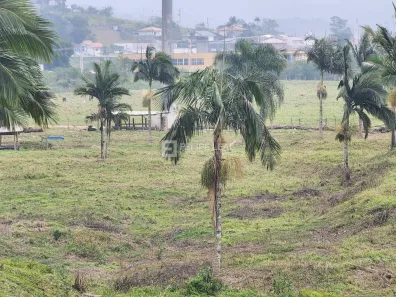 Lote/Terreno à venda, 6300m² no Vila Becker, Santo Amaro da Imperatriz