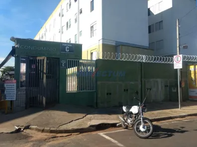 Apartamento com 3 Quartos à venda, 49m² no Vila Padre Manoel de Nóbrega, Campinas