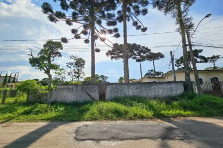 Lote/Terreno à venda, 432m² no Dom Rodrigo, São José dos Pinhais