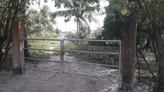 Fazenda/Sítio com 3 Quartos à venda, 50000m² no , Japaratinga