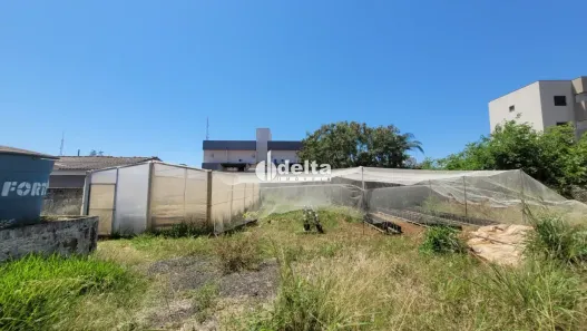 Lote/Terreno à venda, 529m² no Umuarama, Uberlândia