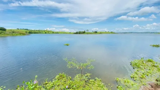 Fazenda/Sítio à venda, 304920m² no , São Gonçalo dos Campos