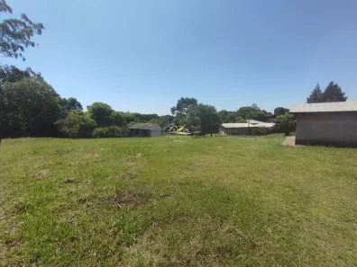 Lote/Terreno à venda, 3000m² no São Luiz do Purunã, Balsa Nova
