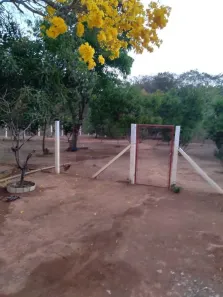 Fazenda/Sítio com 2 Quartos à venda, 500m² no , Bela Vista de Goiás