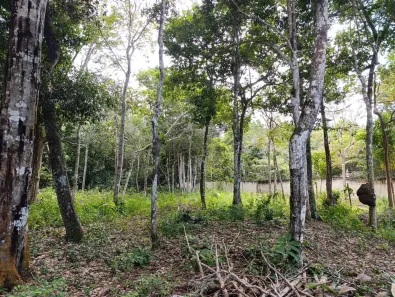 Lote/Terreno à venda, 2494m² no Arraial D'Ajuda, Porto Seguro