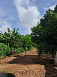 Fazenda/Sítio com 3 Quartos para alugar, 340m² no Vila Irany, Goiânia