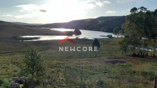 Lote/Terreno à venda, 20000m² no Centro, São Francisco de Paula