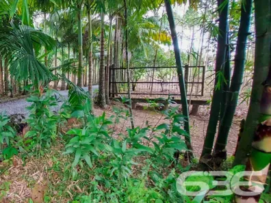 Fazenda/Sítio com 4 Quartos à venda, 132m² no Pirabeiraba (Pirabeiraba), Joinville