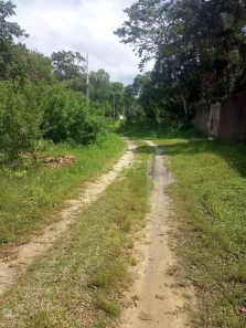 Lote/Terreno à venda, 1000m² no Jardim Coronel, Itanhaém