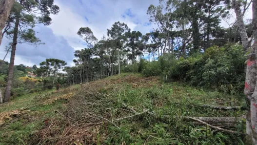 Lote/Terreno à venda, 1400m² no Abernéssia, Campos do Jordão