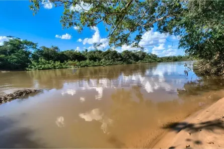 Fazenda/Sítio com 6 Quartos à venda, 20000m² no Centro, Rondonópolis