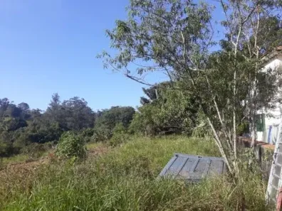 com 1 Quarto para alugar, 21500m² no Vila Romanópolis, Ferraz de Vasconcelos