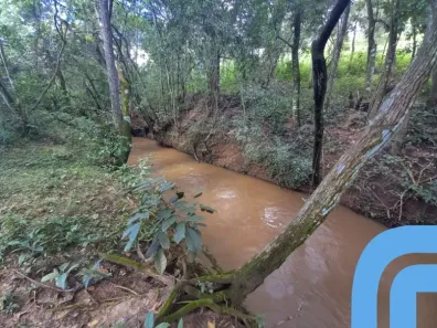 Fazenda/Sítio com 4 Quartos à venda, 200m² no Sítios de Recreio Quinta dos Sonhos, Abadia de Goiás