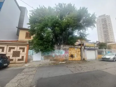 Lote/Terreno à venda, 131m² no Vila Gustavo, São Paulo