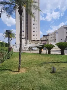 Apartamento com 3 Quartos à venda, 64m² no Vila Proost de Souza, Campinas