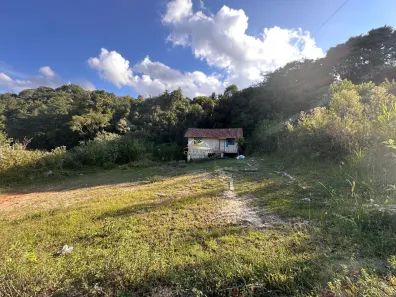Lote/Terreno à venda, 360m² no Vila Bancária, Campo Largo