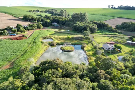 Fazenda/Sítio à venda, 20000m² no , Pato Branco
