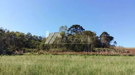 Lote/Terreno à venda, 5000m² no , Três Coroas