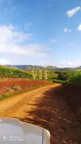 Fazenda/Sítio com 1 Quarto à venda, 9849900m² no Zona Rural, Tamarana