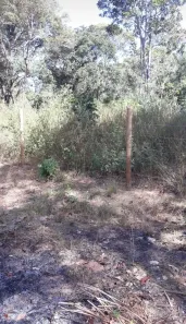 Lote/Terreno à venda no Parque Recreio, Aruanã