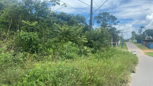 Lote/Terreno à venda, 5000m² no Tarumã-Açu, Manaus