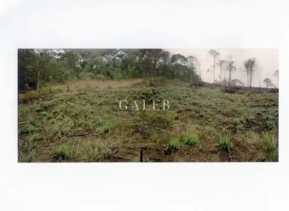Lote/Terreno à venda, 6000m² no Recanto dos Palmares, Atibaia