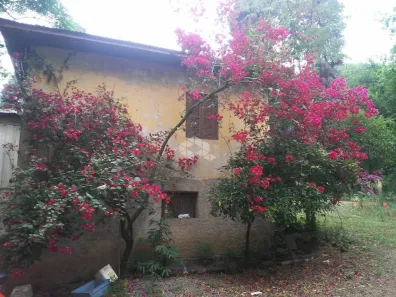 Fazenda/Sítio com 2 Quartos à venda, 44000m² no , Garibaldi