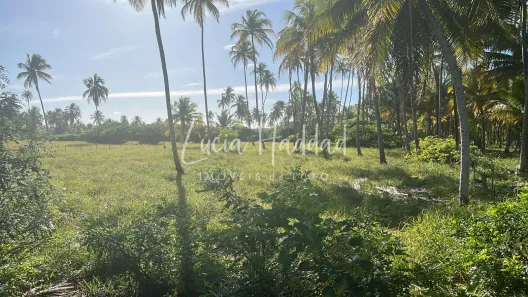 Lote/Terreno à venda, 37200m² no , Porto de Pedras