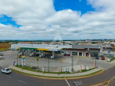 Sala Comercial para alugar, 33m² no Cará-cará, Ponta Grossa